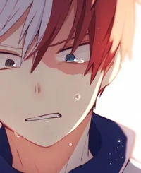 Todoroki Shoto