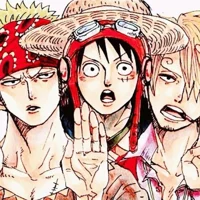 Zoro sanji and luffy