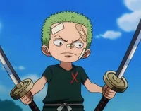 Little Zoro