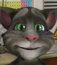 talking tom v