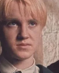 Draco is your friend