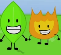 Fun bfdi facts