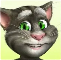 talking tom 2012
