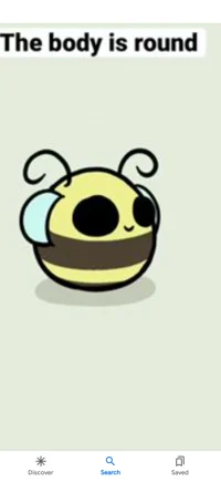 Rare doodle bee