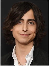 Aidan gallagher 