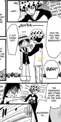Law x Luffy 