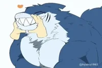 Furry shark