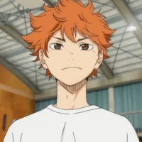 Shoyo Hinata