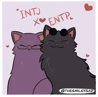 Entp x Intj