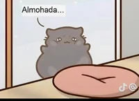 Gatito gordito y grs