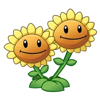 Twin Sunflower