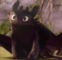 Toothless 