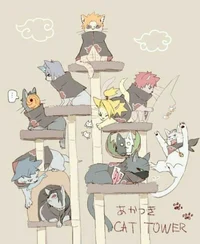 Akatsuki Cats