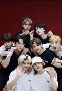 Stray kids 