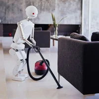 Cleaner Robot