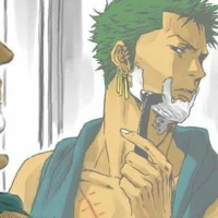 Roommate zoro