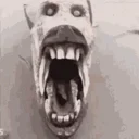 popeyesbiscutnodrink