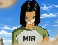 Android 17