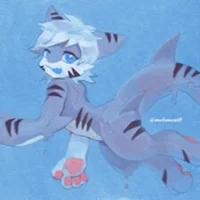 Tiger shark