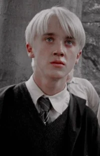 Draco the winner 