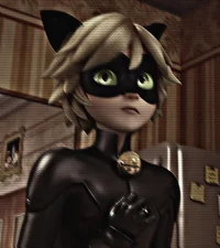 Cat Noir