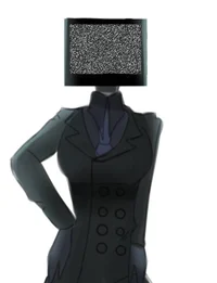 Female Tvman