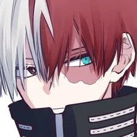 Shoto-todoroki