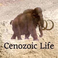 -Cenozoic Life-