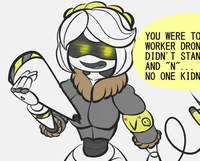 Serial Designation V