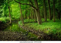 Worlds collide world