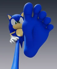 Totally sonic