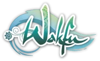 Wakfu player