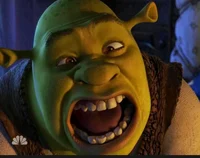 Cursed shreck 