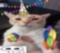 Party Cat