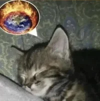 Earth destroyer cat