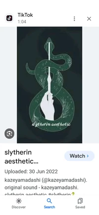 Sexy Slytherin boys 