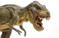 Tyrannosaurus Rex
