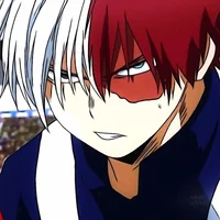 Shoto Todoroki