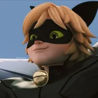 Cat Noir 