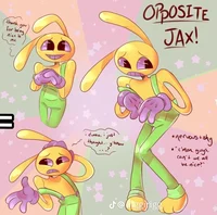 Opposite jax