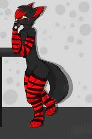 Furry Femboy