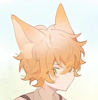 Fox Akito