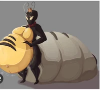 Honeypot ant Queen