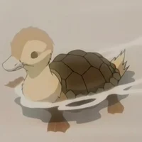 Turtle Duck