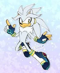 Silver the hedgehog 