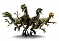 A pack of raptors