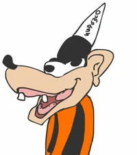 Dunce groovy