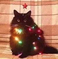 RP scenarios creator