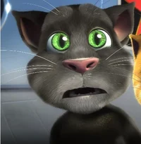 Talking Tom Rpg