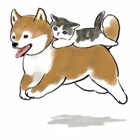 cat and dog